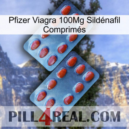 Pfizer Viagra 100Mg Sildénafil Comprimés 05